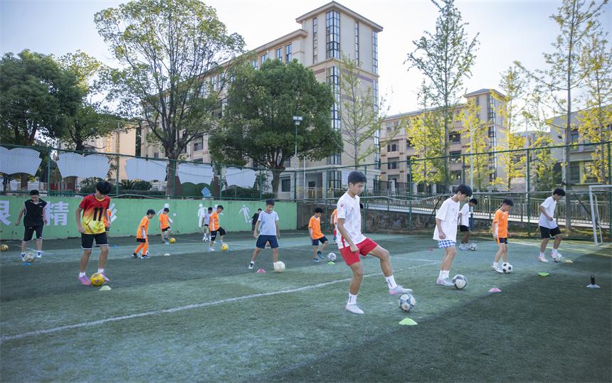 img, 球训练营, img